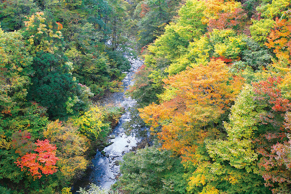 三途川渓谷の紅葉